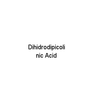 Dihidrodipicolinic Acid